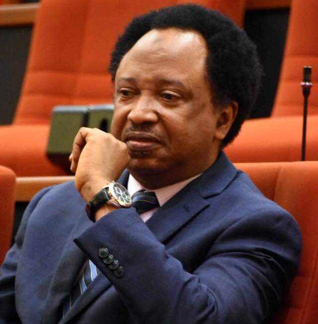 Shehu Sani claims Nigerian leaders in power behave like gods