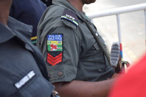 Police nab two kidnappers in Adamawa
