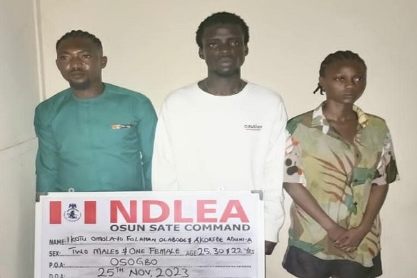 NDLEA raids illicit drug party in Osun, arrests organisers
