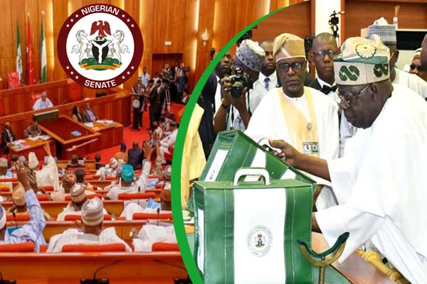 Senate, House â€˜ready to pass Budget 2024 before Dec 31â€™