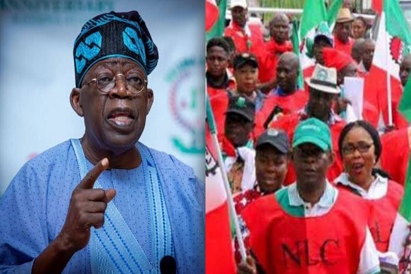 Why we rejected Laboursâ€™ N494,000 minimum wage demand, by FG