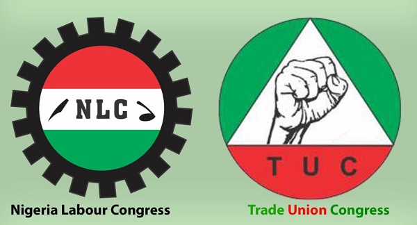 NLC, TUC issue FG 14-day ultimatum overdelayed implementation of CONHESS