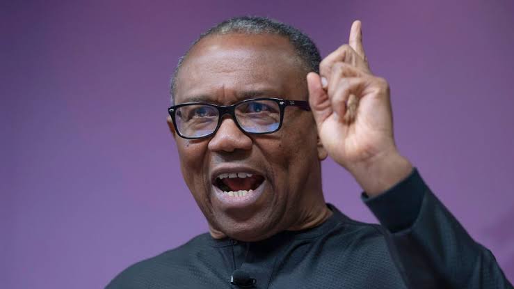 ‘We must stop waste,’ Peter Obi berates Nigeria’s ‘huge’ delegation to COP28