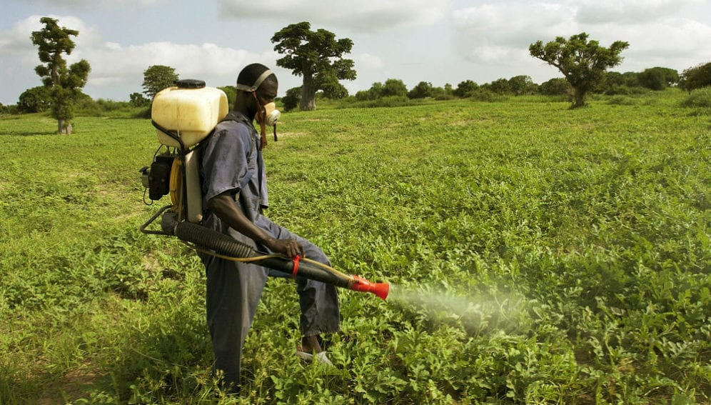 Food Production: FG moves to harmonize fertilizer application