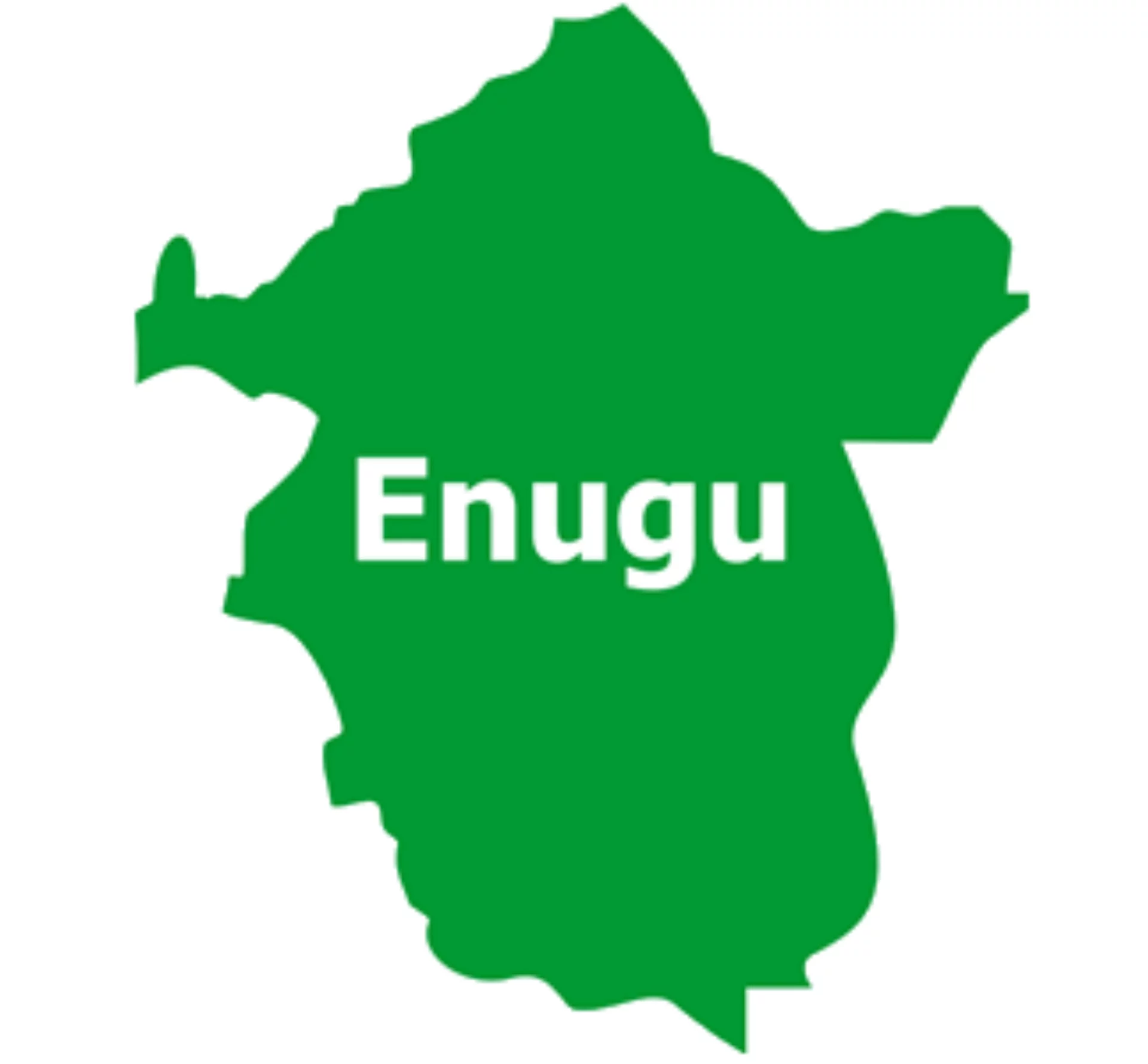 Enugu: Election of new Obeagu monarch, PG fake â€“ Community leaders