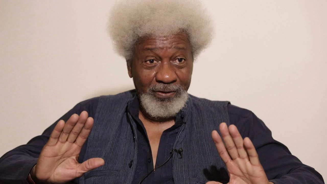 Sunday Igboho not criminal â€“ Soyinka rebukes DSS, Buhari govt