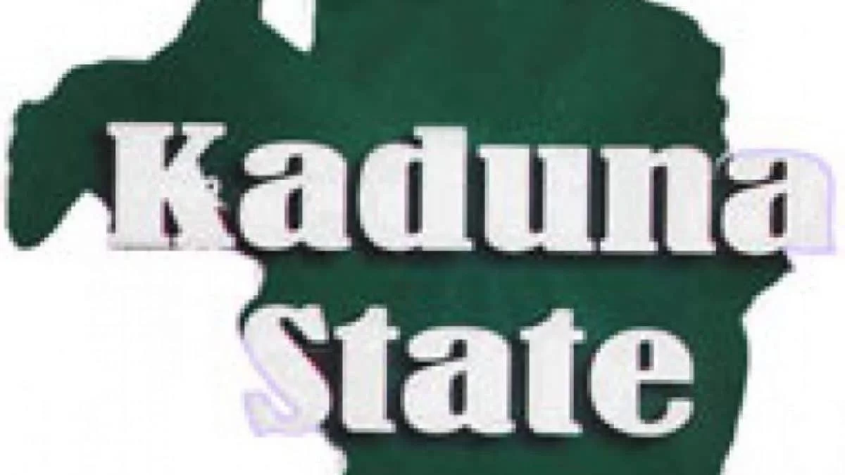 Kaduna Speaker calls for investigation of PRPâ€™s Muhammad Ali over unfounded allegations