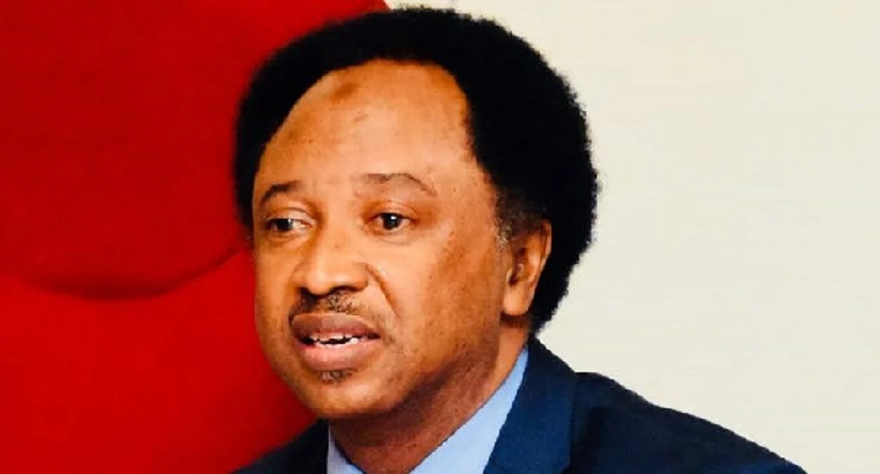 Anambra lawmakerâ€™s beheading shows lawlessness spreading in Nigeria â€“ Shehu Sani