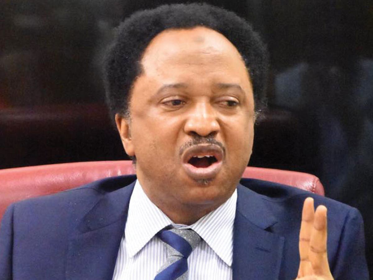 Naira crisis: You didnâ€™t write long letter when terrorists massacred Ondo people â€“ Shehu Sani slams Akeredolu