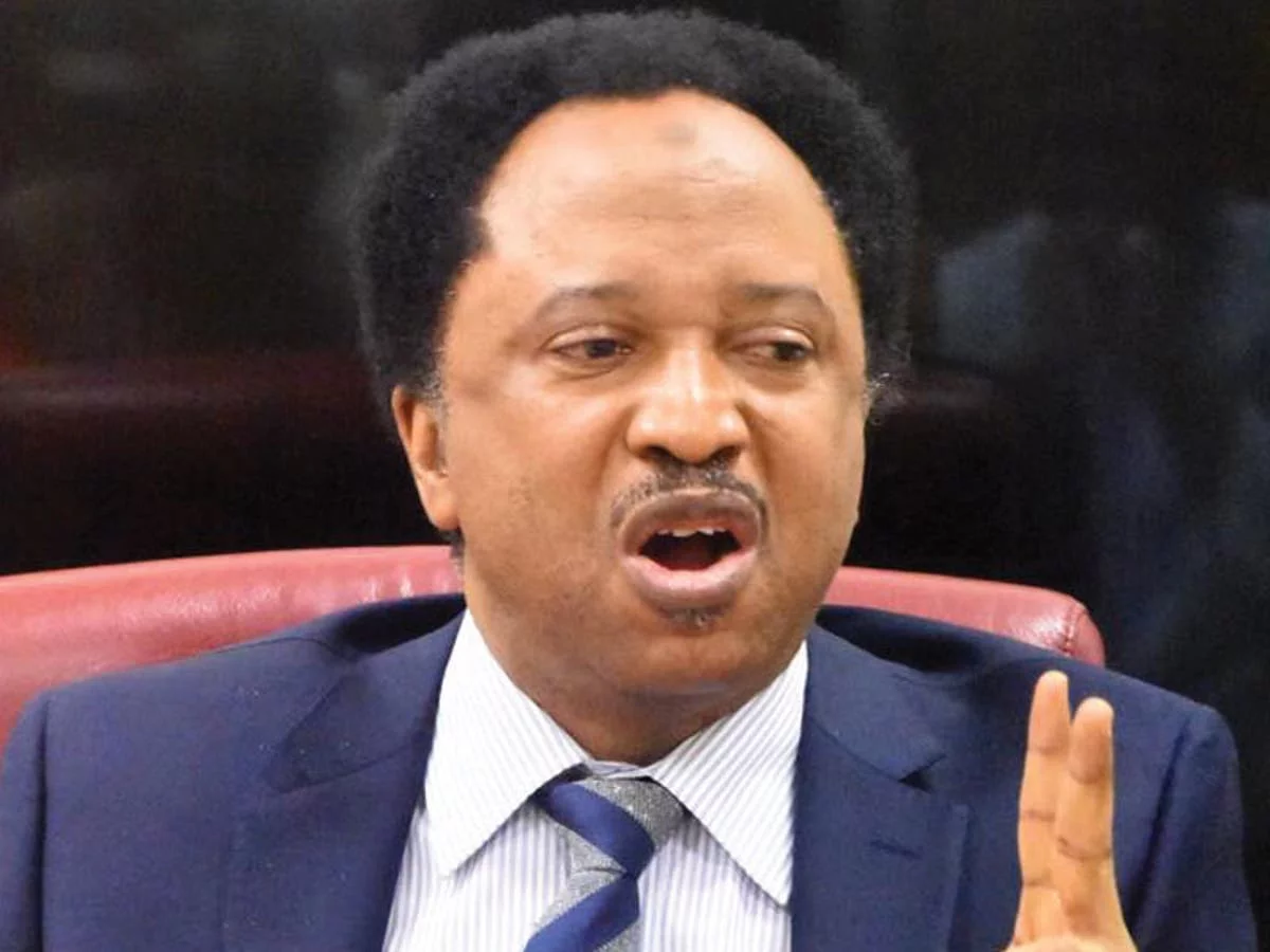 Emefieleâ€™s cashless policy disastrous â€“ Shehu Sani