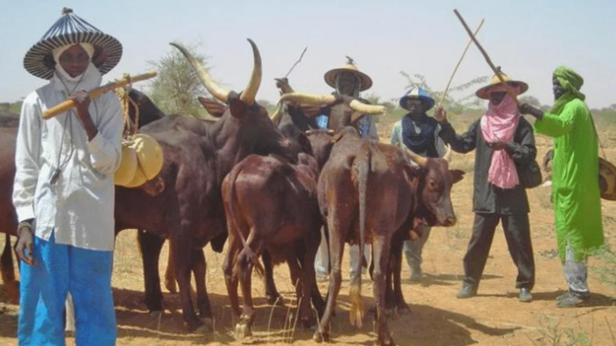 10,000 pastoralists killed, 2 million displaced in seven years â€“ MACBAN