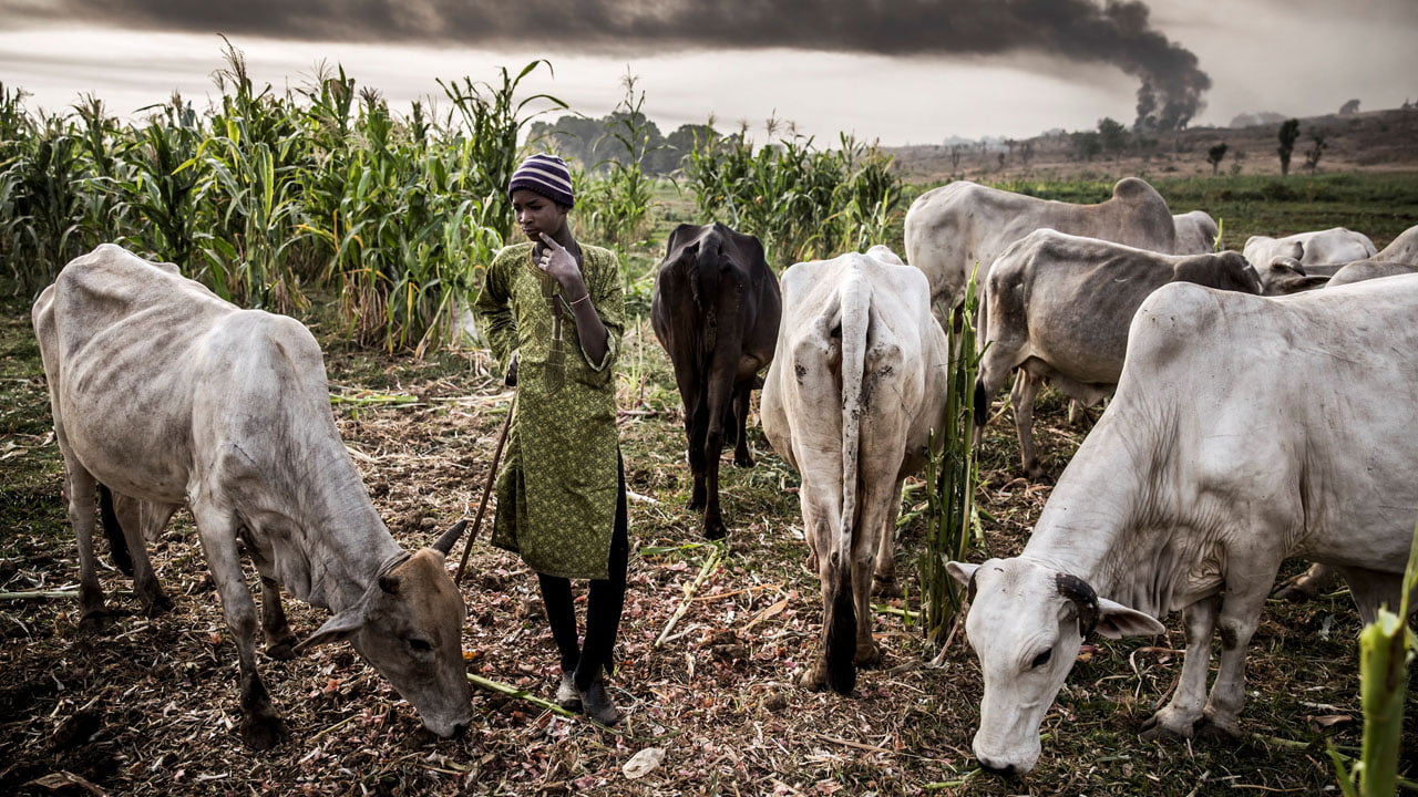 Anambra: Fulani herdsmen not responsible for killing in Umueri â€“ Metchie