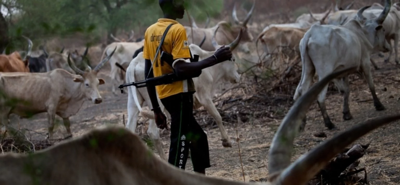 Suspected Fulani herdsmen attack Benue community