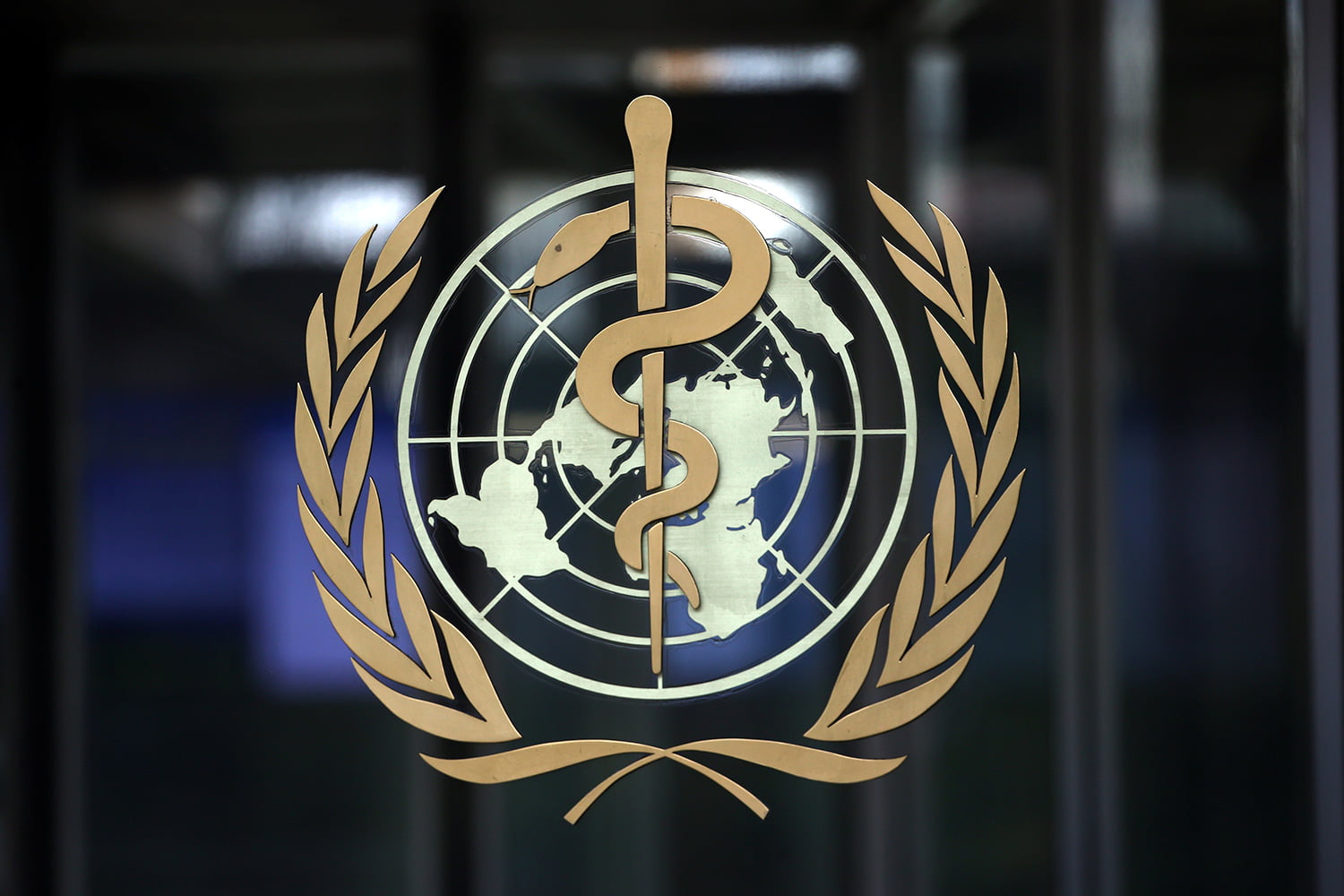 Cancer killed over 500,000 Africans in 2022 â€“ WHO