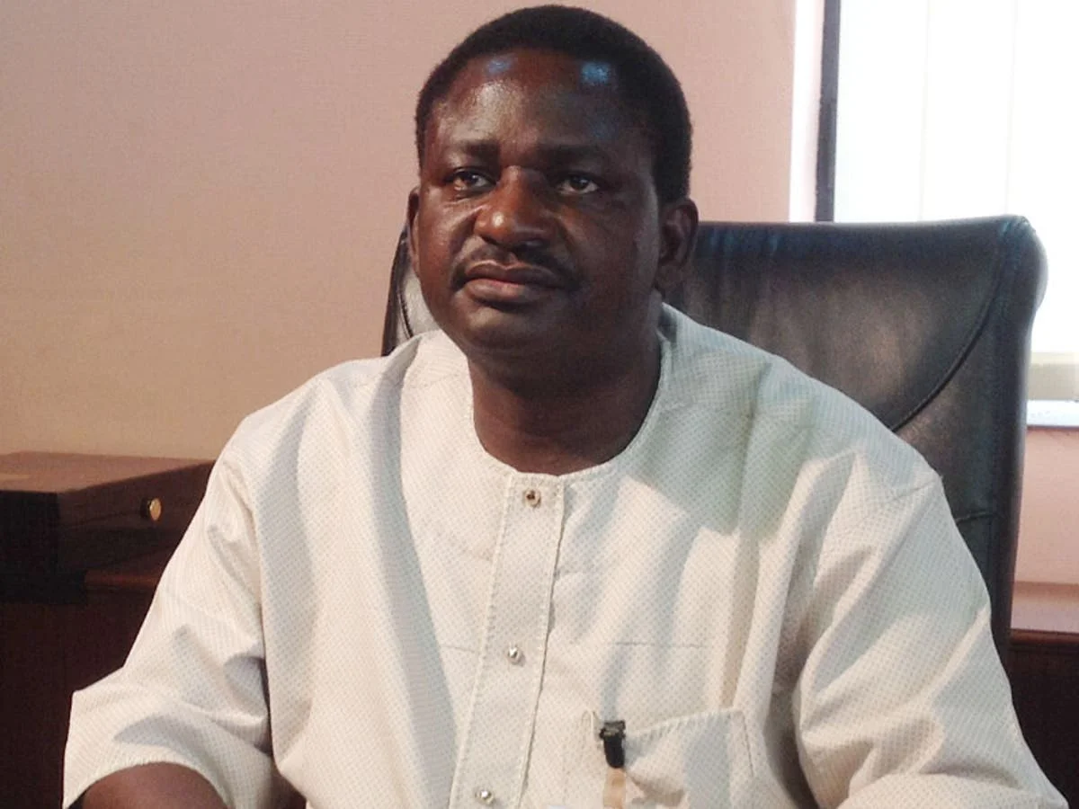 Buhariâ€™s 8-month sickness a setback â€“ Femi Adesina