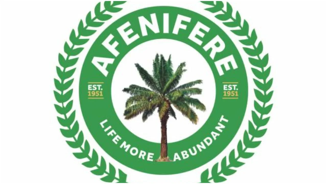 2023: Southern Nigeria has qualified people as president â€“ Afenifere dismisses Northern eldersâ€™ position