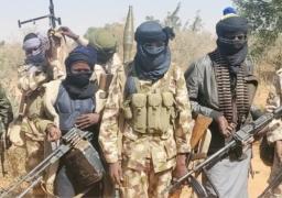 Insecurity: Nigerians are tired of your inaction – Amnesty boss, Sanusi tells northern senators