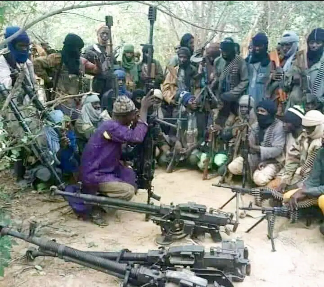 Zamfara killings: You’ll never know peace – University don curses bandits, sponsors