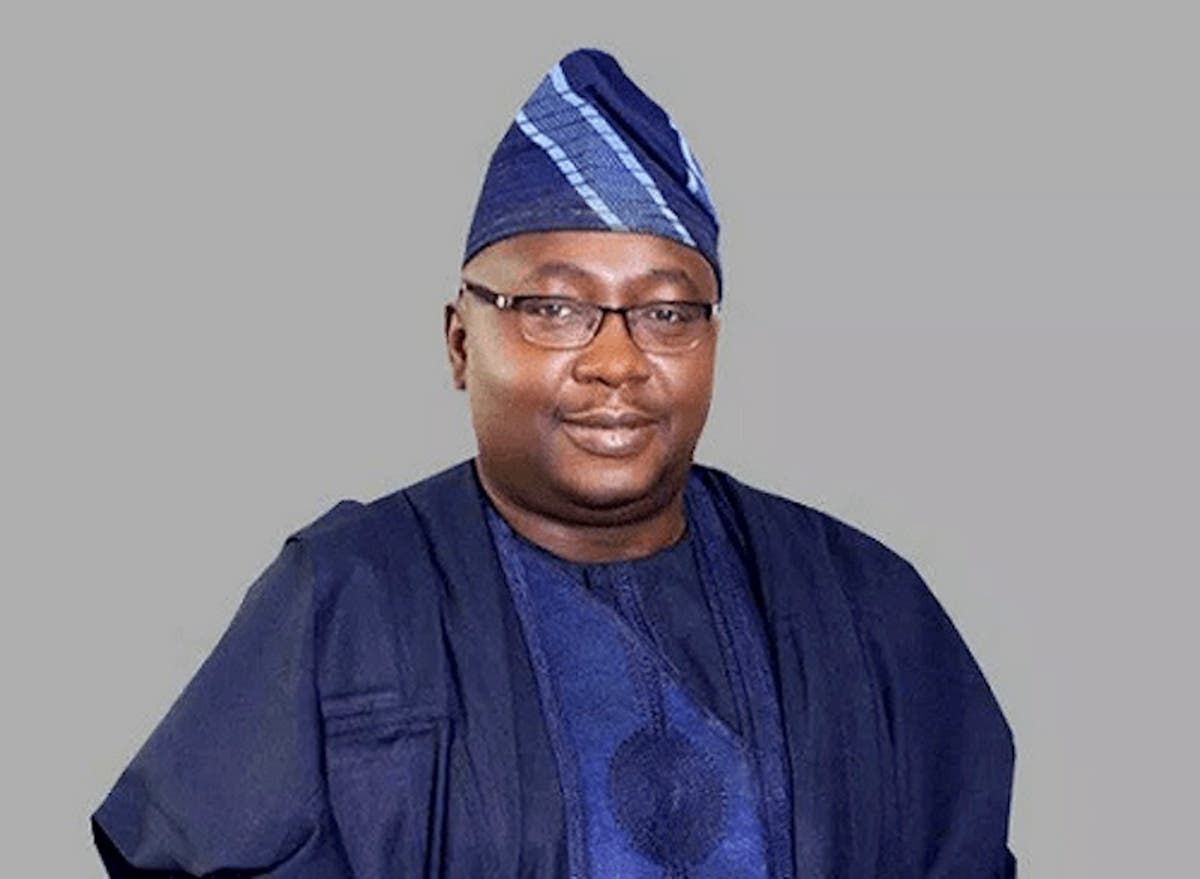Private jet conveying Minister of Power, Adelabu crash-lands
