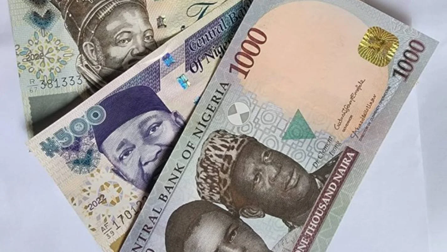 Experts divided on naira redesign, advise CBN, EFCC, other security agencies