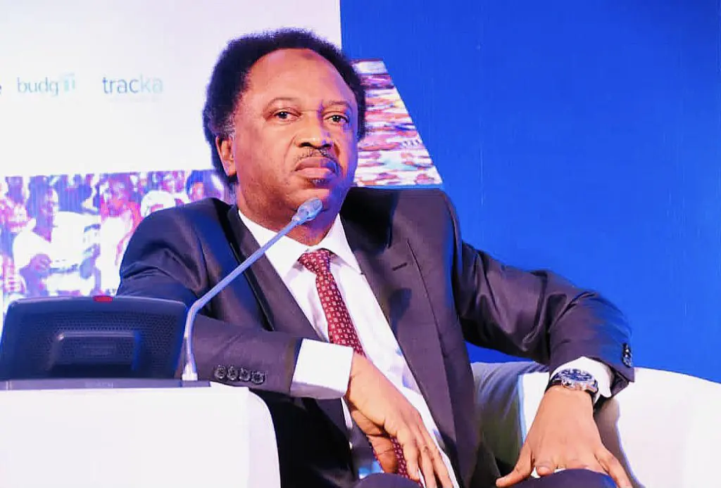 Nigeria elections: US, Europe underrated thuggery, rigging â€“ Shehu Sani