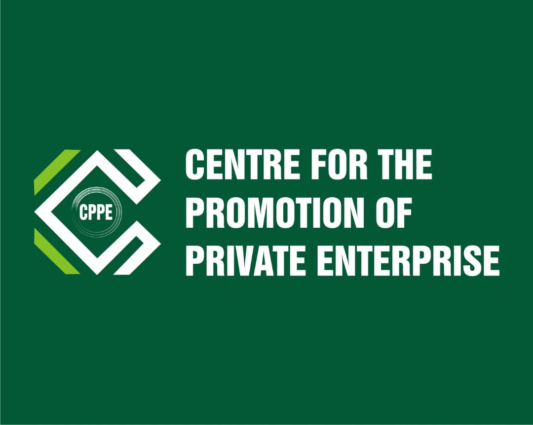 Naira to dollar exchange rate stability most visible achievement for Nigerian economy in 2025 — CPPE