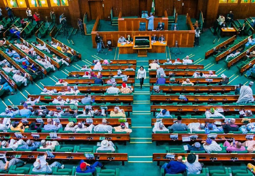 Mixed reactions trail Reps’ bill barring Nigerian officials from private education, healthcare
