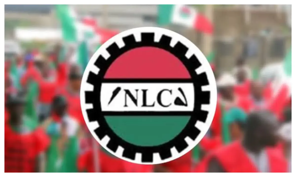 NLC protest: It’s yielding results, govt responding speedily – Union 