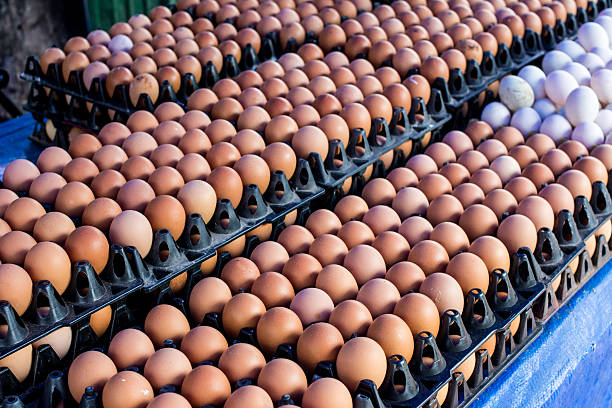 Naira Scarcity: Weâ€™ve Lost N30bn Eggs â€“ Poultry Farmers