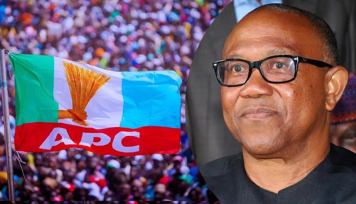 â€˜Embittered Loserâ€™:  APC Blasts Peter Obi For Criticising Economic Decisions, Accuses Him of Hypocrisy