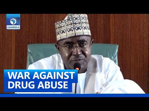 Drugs Worth Over â‚¦100bn Seized, 1,630 Criminals Jailed â€“ NDLEA Chairman