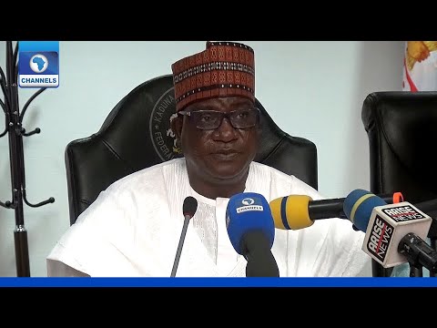 â€˜Zoning Is Unconstitutional,â€™ Northern Governors Oppose Power Shift To South
