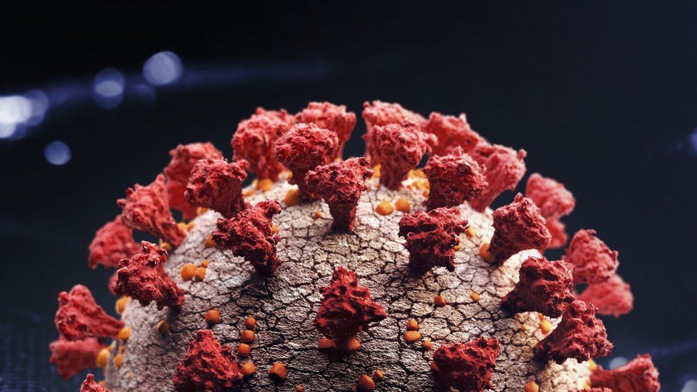 Omicron: South African scientists probe link between variants and untreated HIV