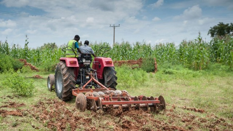 Italy ready to invest in Nigeria’s agric sector