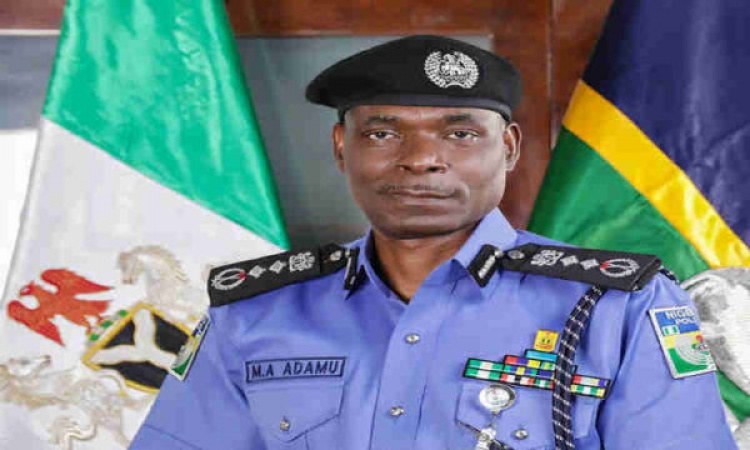 Groups laud NPF for stamping out terror groups in Kaduna