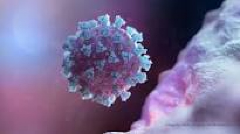 Algeria confirms first case of coronavirus