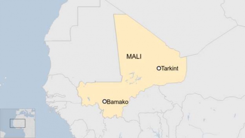 Islamist militants kill 29 Mali soldiers
