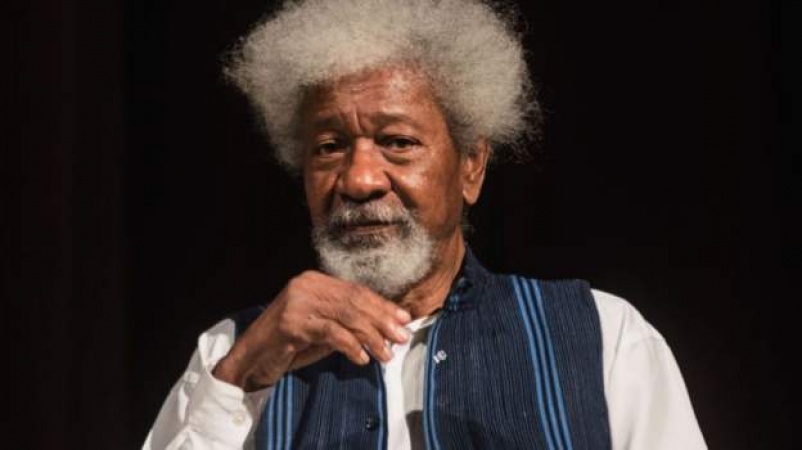 Nobel prize winner faults Nigeria on virus response