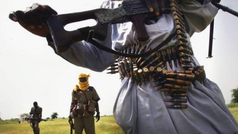 Darfur war crimes suspect in ICC custody