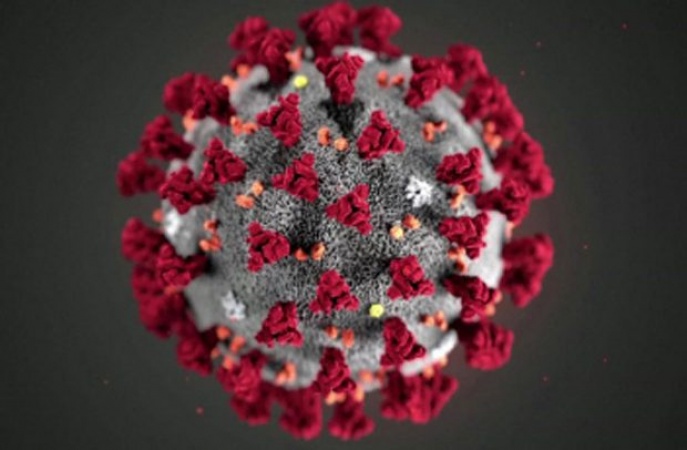 Over 6 million people have recovered from COVID-19 globally: Johns Hopkins University