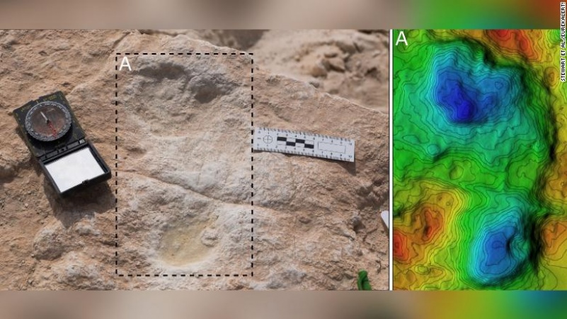 120,000-year-old footprints found in Saudi Arabia -- and they might be human