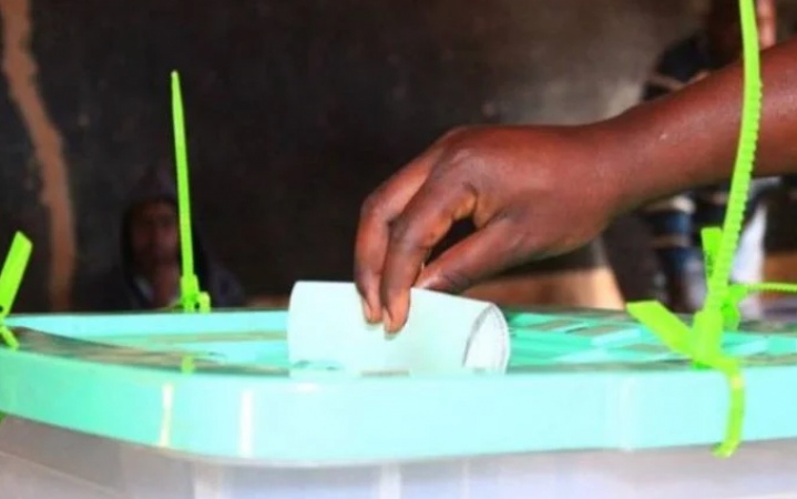 We ready for diaspora voting â€“ INEC chief