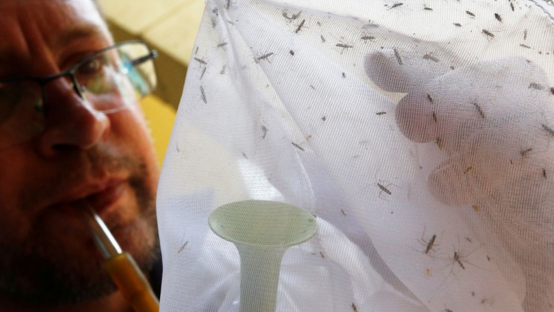 Nigeria reports â€˜sudden spikeâ€™ in yellow fever deaths