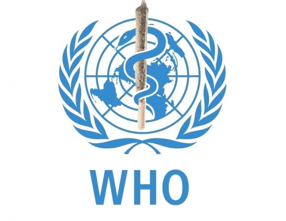 Why Nigeria Was Not Included In First Shipment Of Pfizer Vaccine â€“ WHO