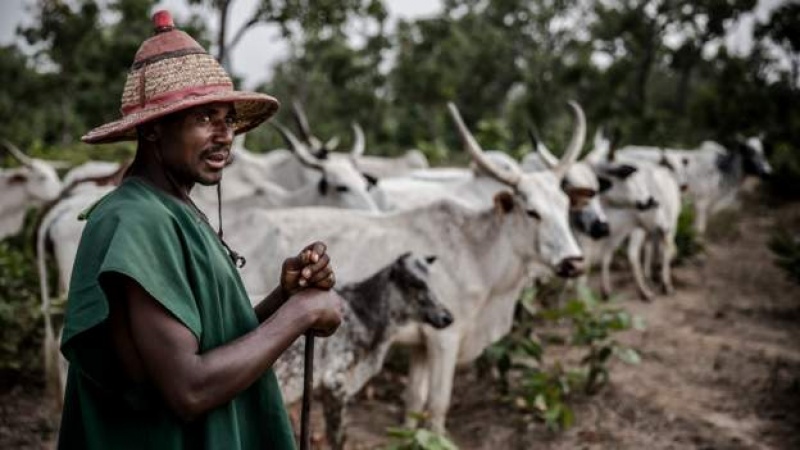 Northâ€™s governors declare open grazing outdated