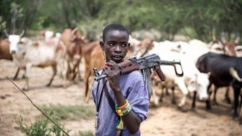  Nigerians free to carry arms for self defence, Miyetti Allah declares