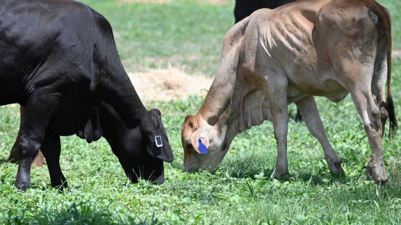 'Farms are going to need different kinds of robots'