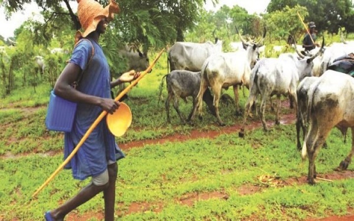 Panic in Kwara over herdersâ€™ relocation from Oyo to 13 villages