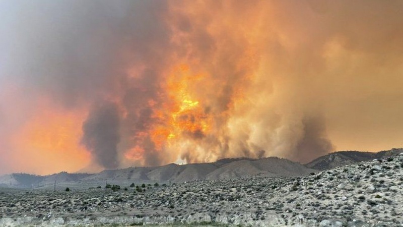 US heatwave: Wildfires rage in western states as temperatures soar