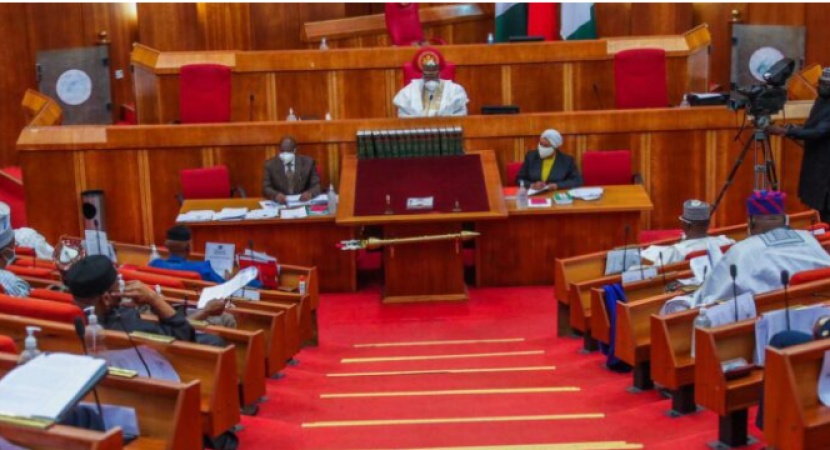 â€˜Itâ€™s a typoâ€™ â€” senate clarifies discrepancy in EFCC board nomineeâ€™s age